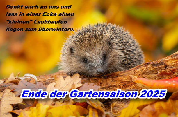  Quelle: www.istockphoto.com